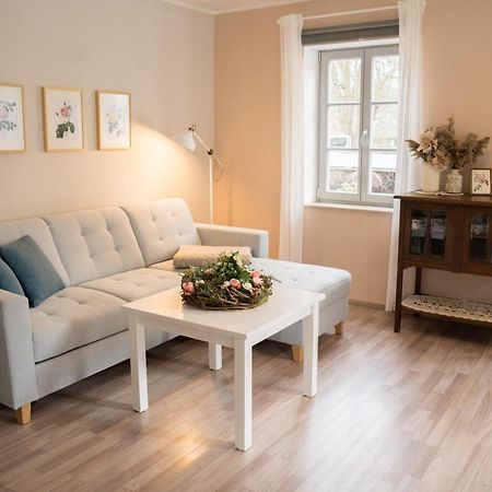 Apartmán Urlaubsfreude Biedermann Haus Blumenglueck - Rose Sebnitz Exteriér fotografie