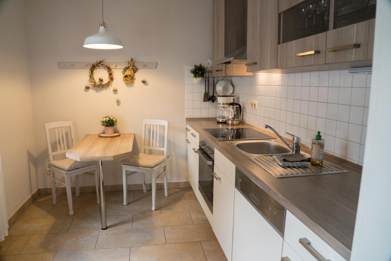 Apartmán Urlaubsfreude Biedermann Haus Blumenglueck - Rose Sebnitz Exteriér fotografie