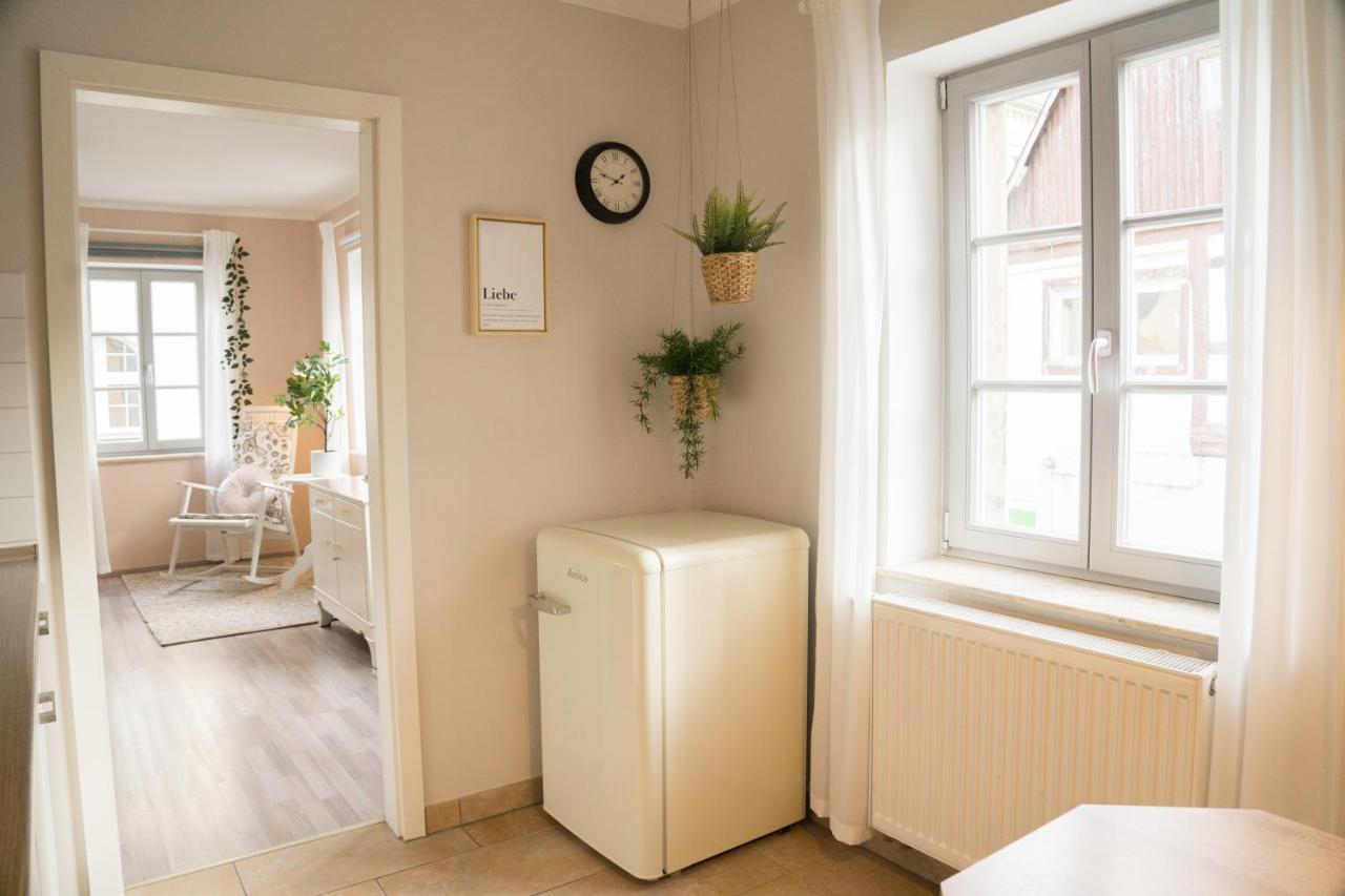 Apartmán Urlaubsfreude Biedermann Haus Blumenglueck - Rose Sebnitz Exteriér fotografie